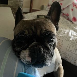 Meet your Posher, Maureen